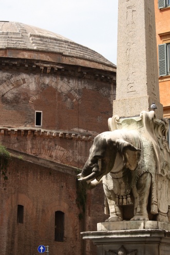 Pulcino della Minerva   