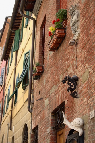   (Contrada de Chiocciola)