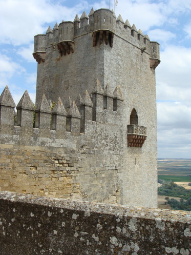     ' ',  ,                .     .