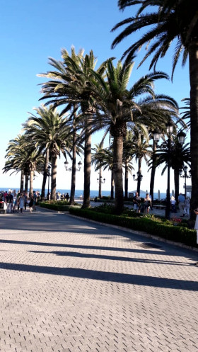    ,    ' ' City Sightseeing        .