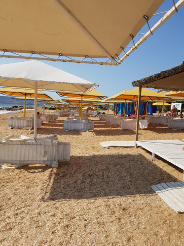 ,         .        ,       . ,  ,      .       ,   