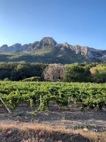      :   ,    ,   .        ,          .