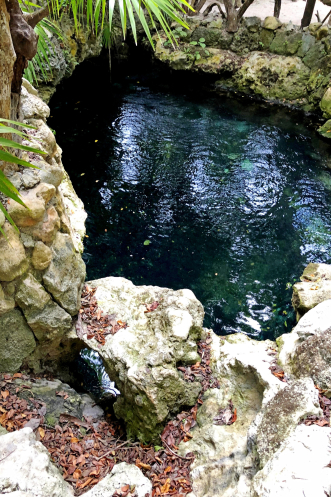 :  ,    ;      40    ,        