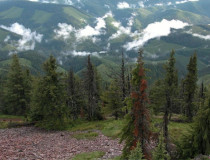 Национальный лес Айдахо ПанХандл