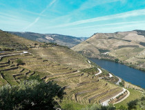 Кинта ду Сейшо