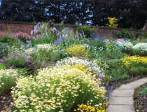 Ботанический сад Винтербурн