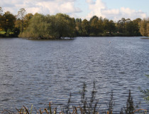 Озеро Парка Бруквейл