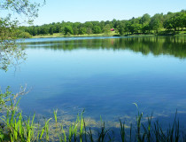 Водохранилище Эджбастона