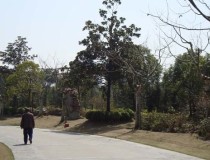 Парк   Хуангхинг