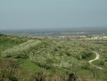 Природный региональный парк Лотарингии