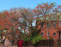 Подготовительная школа Святого Эндрю