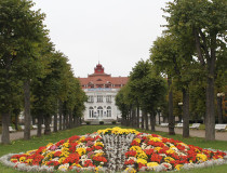 Сметановы сады