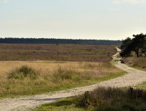 Национальный парк Велювезом