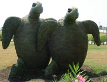 Скульптурная группа «Черепахи»