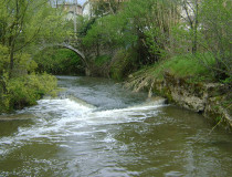 Река Офанто