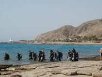 Дайвинг-центр Red Sea Lucky Divers