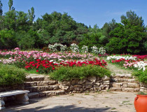 Ботанический сад-экопарк
