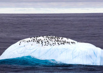 Антарктида достопримечательности