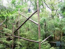 Зоопарк Виссел