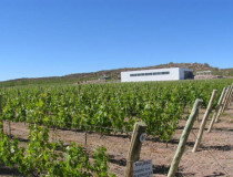 Винодельня Гриттини