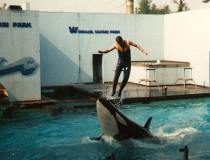 Виндзорский сафари-парк