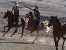 Конный клуб Sunny Horse Stable