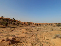 Пустыня Рас-Аль-Хаймы