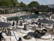 Эдинбургский Зоопарк