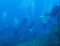 Дайвинг-центр Notos Mare