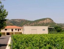 Винный завод Олимпии