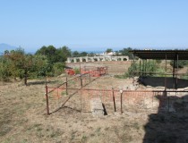 Римский амфитеатр в Кумах