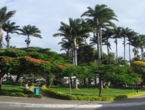 Площадь имени Танкреду Невиса