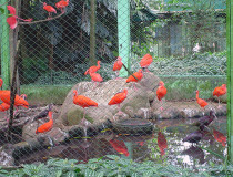 Зоопарк Помероди