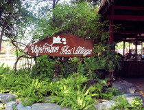 Тайская деревня в Розовом саду