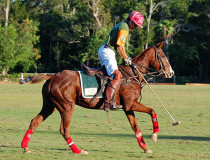 Загородный поло-клуб El Rey