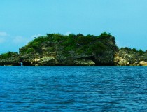 Остров Крокодайл