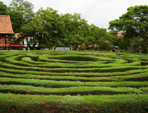 Сад «Зеленый лабиринт»