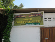 Ферма крокодилов на Самуи