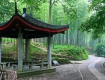 Парк «Бамбуковый мир»