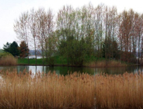 Региональный природный парк Восточный лес