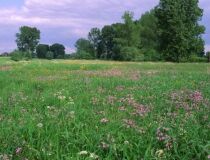 Зунская долина