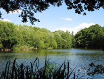 Озеро Бауэр