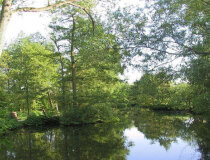 Река Оденсе