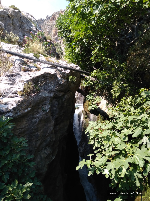 photo 1504894