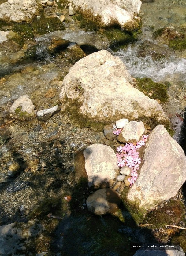 photo 1504895
