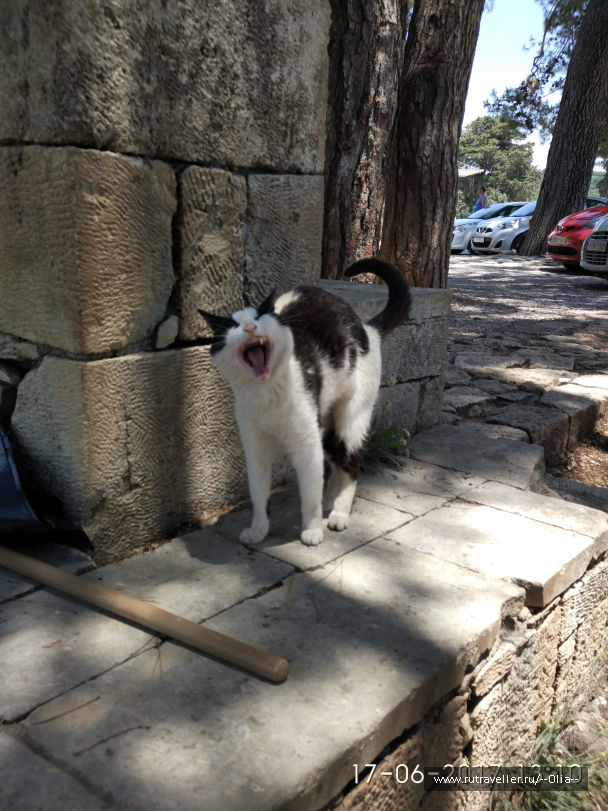 photo 1504897