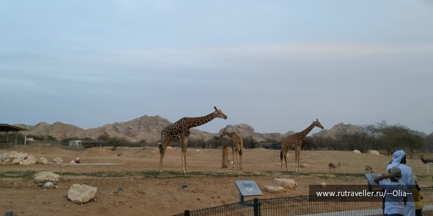 photo 1767767