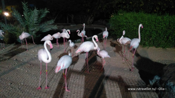 photo 1767776
