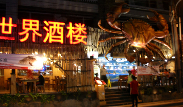 SDC11908