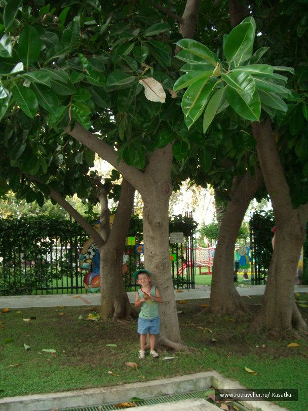 photo 424462